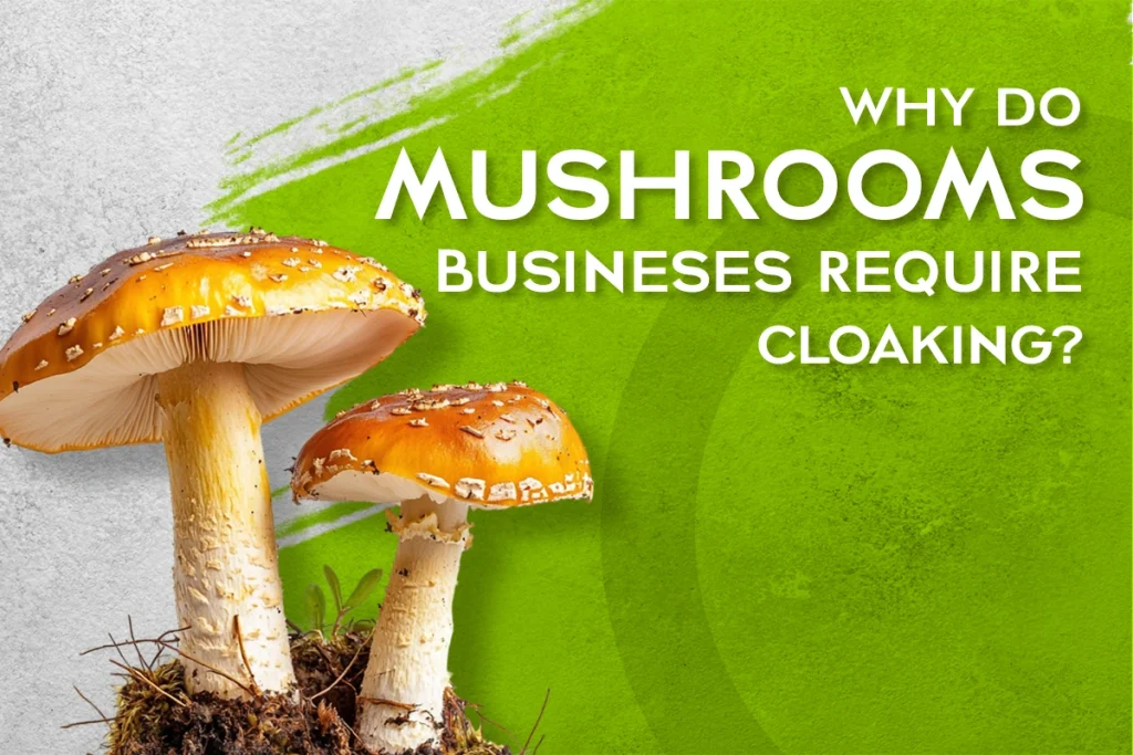 Mushroom Ads