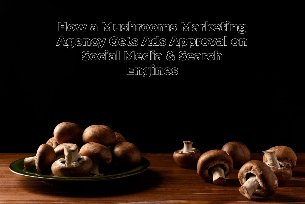 Mushroom Marketing Agency