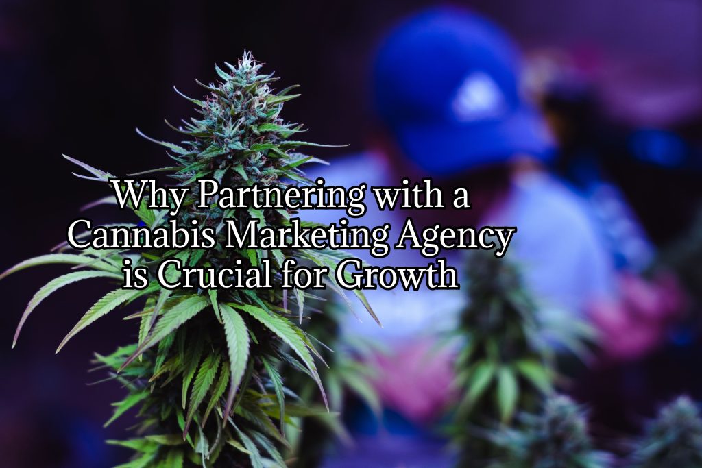 cannabis marketing agency